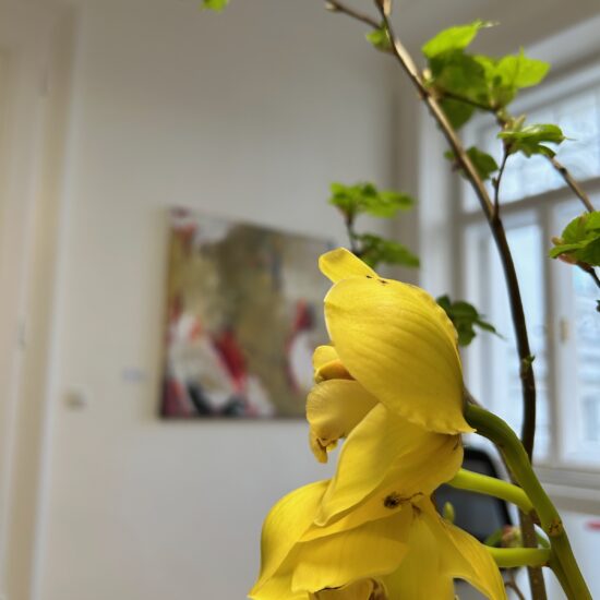 Ausstellung Stowasser Painhaupt Partner / 2026
