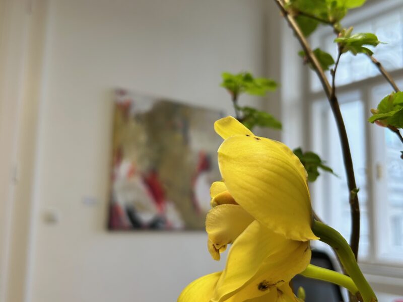 Ausstellung Stowasser Painhaupt Partner